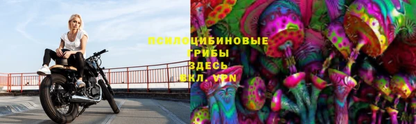 бошки Инта