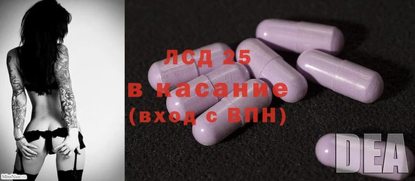 ECSTASY Инсар