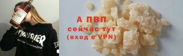 ECSTASY Инсар