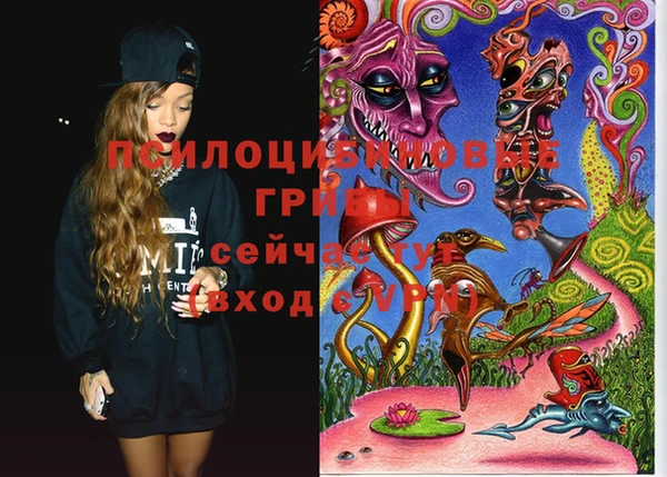 ECSTASY Инсар