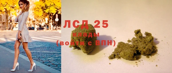 ECSTASY Инсар